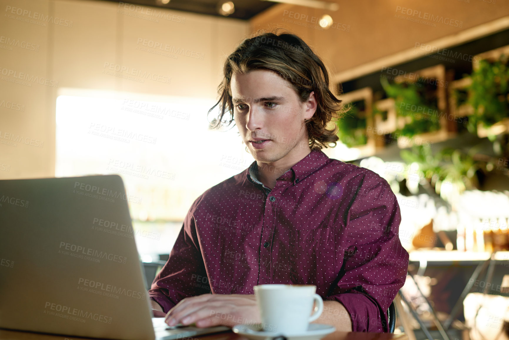 Buy stock photo Man, journalist and coffee with laptop in cafe for online research, remote business or service. Male person, freelancer or copywriting in restaurant with computer or cup for journalism or network