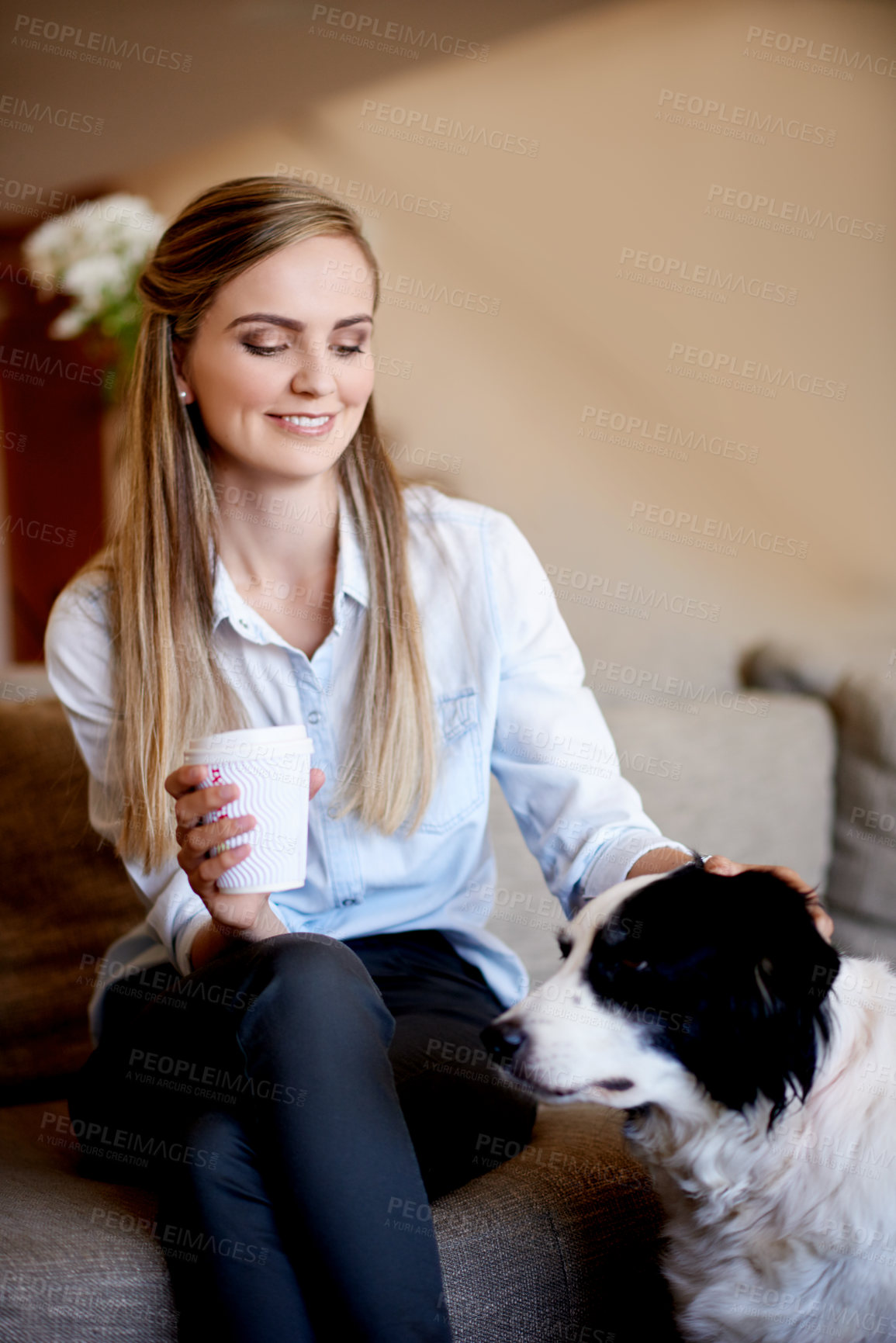 Buy stock photo Coffee, dog and woman on sofa in living room of home for animal adoption, bonding or trust. Happy, relax or scratching with foster and owner in apartment together for companionship or loyalty