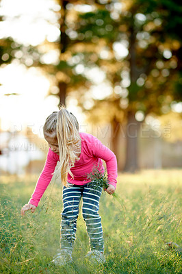 Buy stock photo Park, child and picking grass for play, explore and development in environment with bokeh. Outdoor, girl and kid gathering plants with lawn in nature for collection, learning and growth in spring