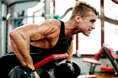 Buy stock photo Man, fitness and weightlifting with dumbbells in gym on bench for workout or intense arm exercise. Active, male person or bodybuilder lifting with shoulder, muscle gain or training in health club