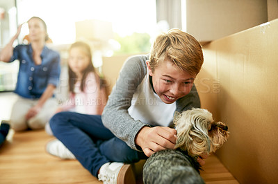 Buy stock photo Child, excited and dog in home with love, cuddling and scratching for comfort in new house. Family pet, kid and stroke in living room for care, bonding or young boy responsibility for animal adoption