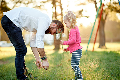 Buy stock photo Father, girl and picking flowers at park for teaching for flora, plants or outdoor with bonding in spring. People, dad and daughter with blossom, care and learning with love for family in Spain