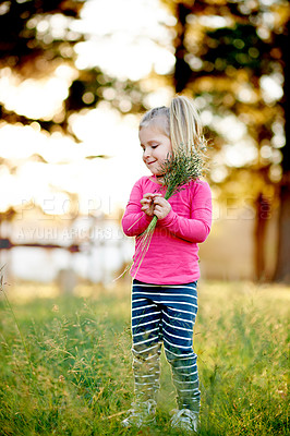Buy stock photo Nature, child and pick grass to explore, play and development in environment on holiday. Smile, girl and kid gather plants at park for collection, learning and growth on spring vacation with bokeh