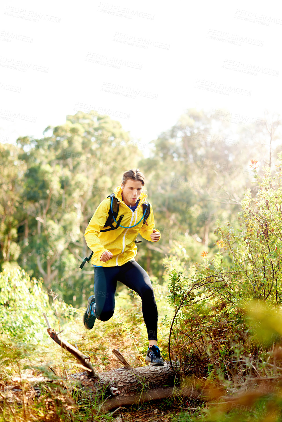 Buy stock photo Fitness, hiking and running with man in forest for cardio, marathon or sports routine outdoor. Exercise, health and speed with athlete or runner in mountains for performance, training or workout