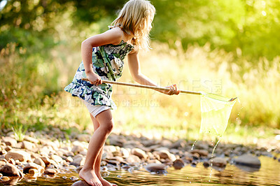 Buy stock photo Nature, catch and child with net in river for outdoor fun, explore environment and educational activity. Discovery, investigation or girl in creek for learning opportunity, space or motor development
