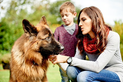 Buy stock photo Park, mom and child with dog, collar and nature for training, care and outdoors for bonding. Happy family, animal and mother with boy, German Shepard and trust together for weekend walk and love