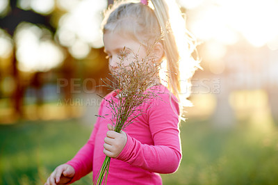 Buy stock photo Nature, park and child with plants outdoor for weekend, holiday and vacation in countryside. Summer, freedom and toddler with field, adventure and relax for childhood with peace and sunshine garden