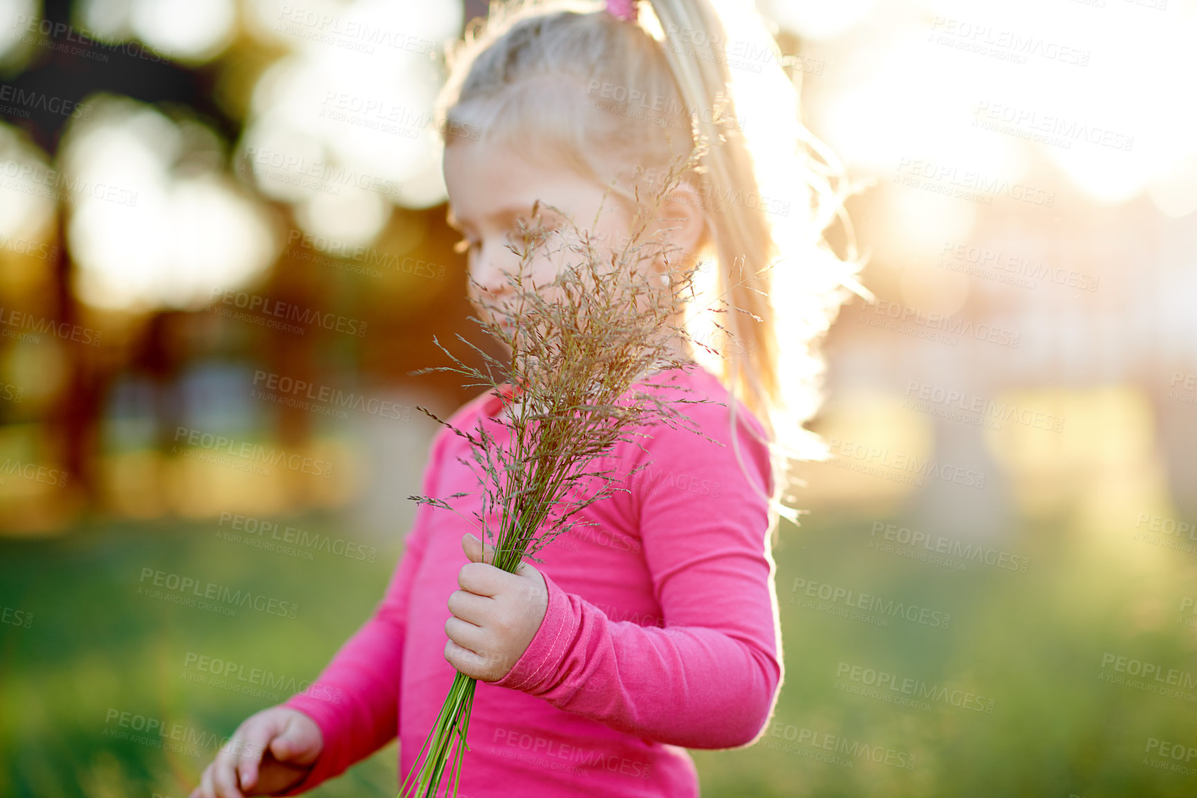 Buy stock photo Nature, park and child with plants outdoor for weekend, holiday and vacation in countryside. Summer, freedom and toddler with field, adventure and relax for childhood with peace and sunshine garden