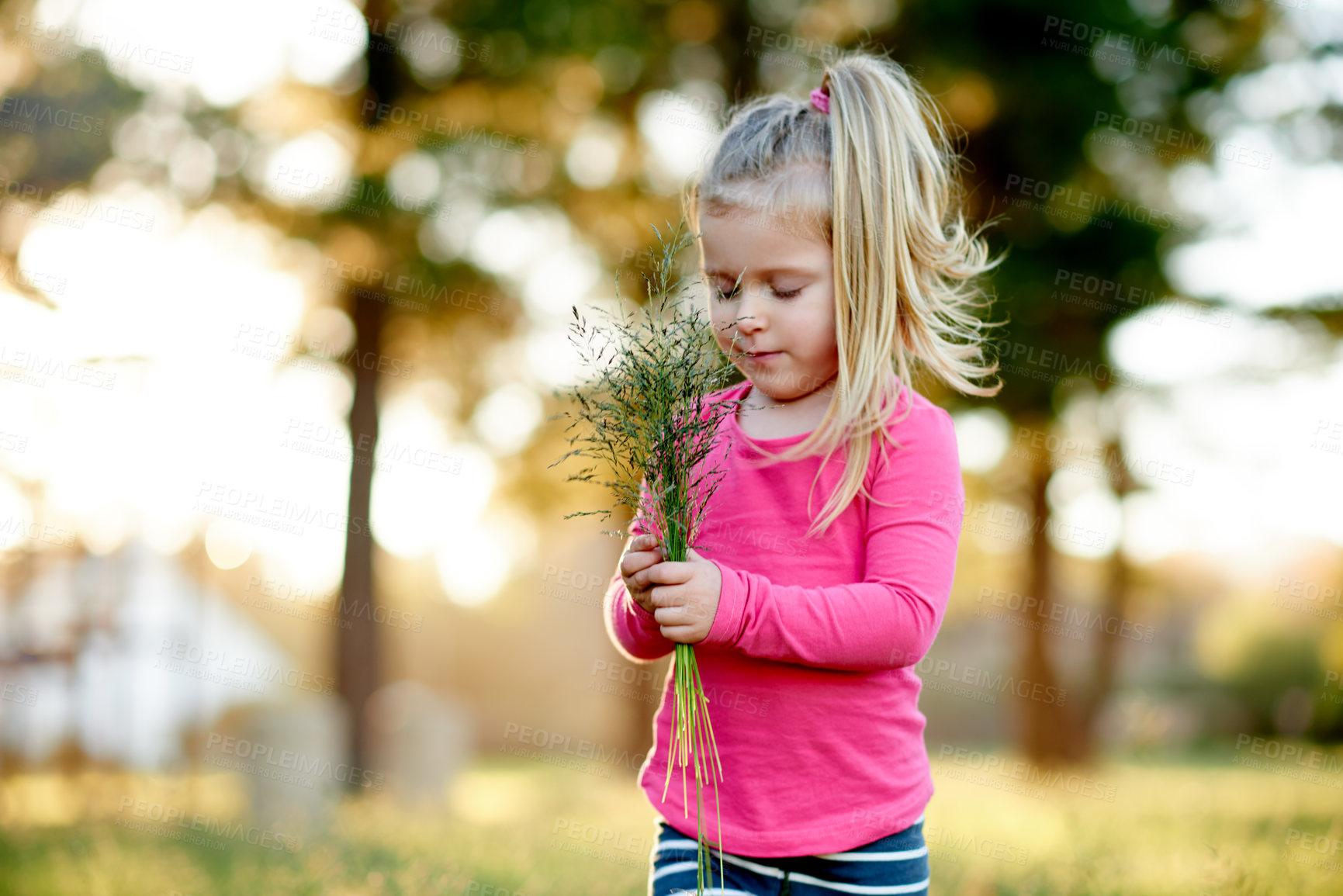 Buy stock photo Park, child and gathering grass for play, holiday and development in environment with bokeh. Outdoor, girl and kid with collection of plants in nature for learning, growth and spring vacation