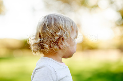 Buy stock photo Child, back and thinking outdoor in park with sunlight, summer and bokeh for space. Toddler, nature and growth for development with peace, green environment and curiosity for adventure trip.