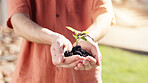 Sustainable, plant and hands outdoor with growth, ethics and conservation in esg accountability. Cultivation, leaf or man with development, environmental awareness or responsibility in green practice