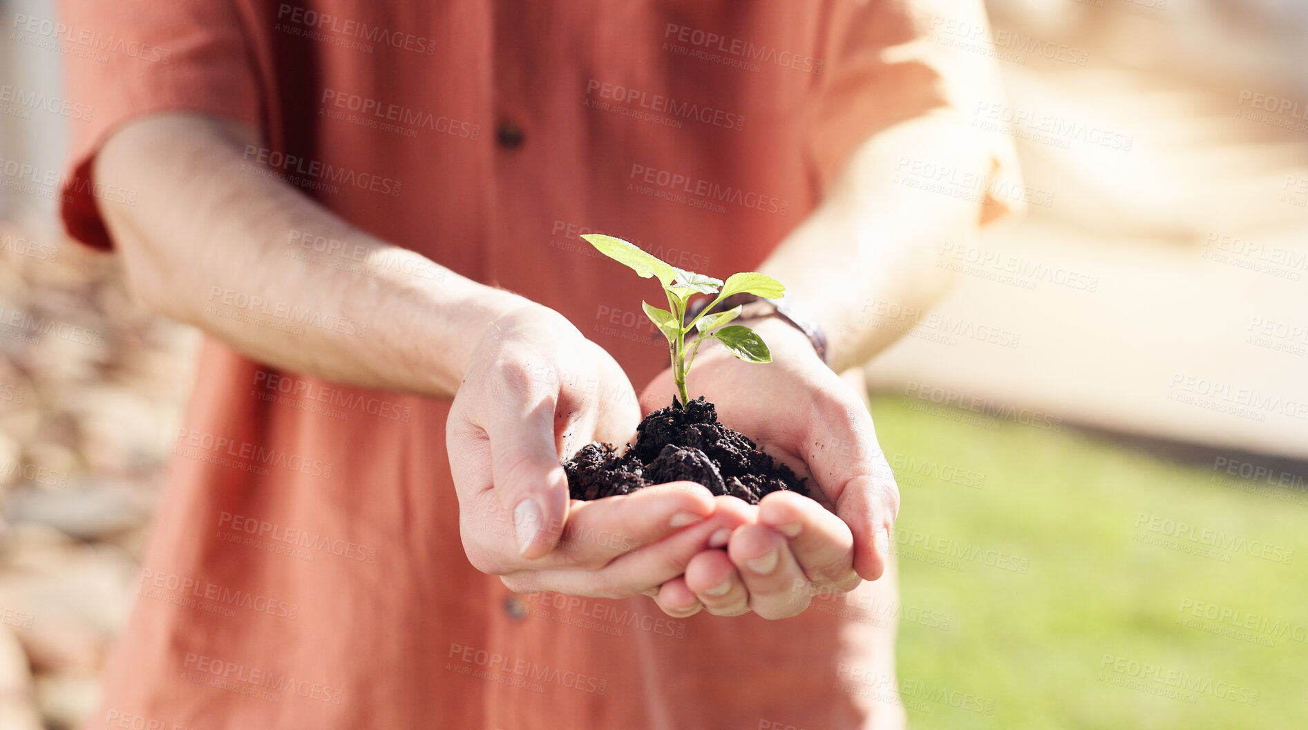 Buy stock photo Sustainable, plant and hands outdoor with growth, ethics and conservation in esg accountability. Cultivation, leaf or man with development, environmental awareness or responsibility in green practice