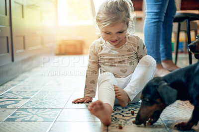 Buy stock photo Playing, child and dog eating in home for bonding, responsibility or connection with companion. Happiness, toddler and animal food in house with empathy, loyalty and love for childhood development.
