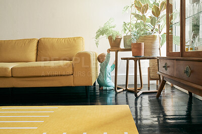 Buy stock photo Explore, carefree and a baby in the living room for play, curiousity and happiness. Fun, playful and a toddler in a home lounge for playing, exploring and morning playtime in childhood at home