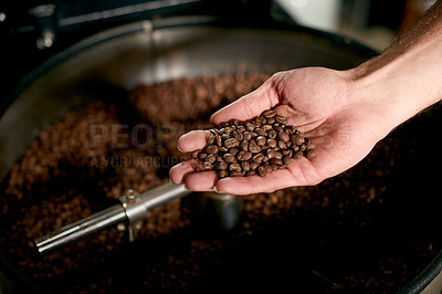 Buy stock photo Coffee beans, hands and roast with person in factory for manufacturing of caffeine product. Checking, process or quality control and employee in cafe with cylinder for preparation of beverage