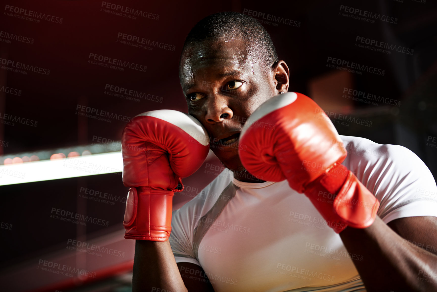 Buy stock photo Sweating, strong or black man in ring for boxing exercise, match or self defense in gym. Serious, athlete or African boxer in practice for training, competition or fitness workout with fighting skill