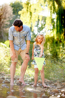 Buy stock photo Father, child and fishing with net in river for holiday adventure, teaching skills and bonding. Family activity, single dad and girl catch fish in water for summer vacation, learning and development