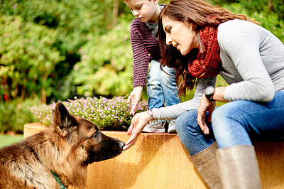 Buy stock photo Park, bonding and mother with child, dog and nature for training, care and outdoors for pet. Happy family, animal and mom with boy, German Sheppard and trust together for weekend walk with love