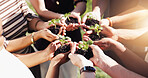 Plant, team and hands with people in nature for sustainability, climate change awareness and growth. Collaboration, carbon footprint and eco development with friends and sprout outdoor for resources