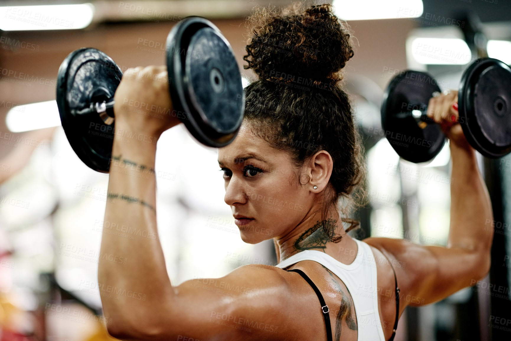 Buy stock photo Athlete, woman and training with dumbbells at gym for fitness, intense exercise and weightlifting. Female person, equipment and power workout with bodybuilder, strong muscle and hobby of bicep growth