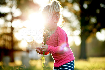 Buy stock photo Park, kid and picking grass flower for play, explore and development in environment with bokeh. Outdoor, girl and child gathering plants in nature for collection, learning or growth with flare