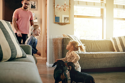 Buy stock photo Dogs, family and girl children in living room of home together with dad for animal care or bonding. Excited, love and sister kids in apartment with dachshund puppies for development or growth
