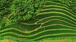 There’s something quite special about Sapa’s rice fields