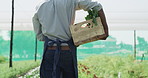 He seems to be having a plentiful harvest