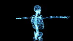 There are 206 bones in the human body