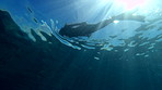 Woman swimming in the ocean