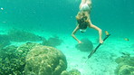 Woman swimming in the ocean