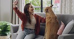 One caucasian woman using cellphone for video call with pet dog in living room at home. Smiling young woman sitting alone on a sofa and talking to friends while bonding with domestic animal on weekend