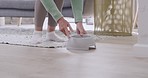 Closeup of caucasian woman woman petting and feeding a bowl of food to her cute obedient furry brown dog at home. Pet eating daily healthy nutritious wet or dry food with vitamins for growth