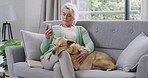 Content senior woman sitting on sofa at home and petting her mixed breed dog. Lonely retired elderly woman bonding and touching her domestic animal in her lounge at home after ending cellphone call 