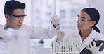 Two young scientists using test tubes and a syringe, typing results in a digital tablet. Chemist putting green reagent in glassware for a plant medicinal experiment at an innovative research lab