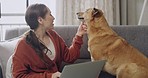 Young woman petting her mixed breed africanis dog while browsing on a laptop at home. Happy female bonding and touching her cute domestic pet for comfort in a lounge while searching the web online

