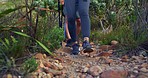 Closeup of hikers walking on stones down a rocky trail on a mountain with hiking sticks. Group of active and adventurous friends exploring a rugged path in nature. Feet of tourists on a trek outdoors