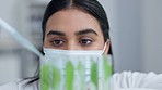 Biologist growing plants in test tubes for an experiment on carbon capture. One young female scientist or chemist using pipette to put green leaves in glassware for climate change research