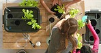 Group of children planting trees on a wooden table in soil trays in a green house or indoor garden on a Spring day. Diverse kids and friends growing plants for environmental conservation