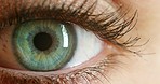 Green eye, macro or vision, eyes or face extreme closeup for sight, awareness or open eyelid. Iris, eyeball eyelash or retina, pupil or cornea looking zoom of a person for optometry examination.