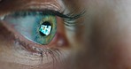 Closeup eye, reflection and computer screen light while reading, doing online research or work. Macro or zoom of vision, eyesight and monitor while using the internet to browse and attain knowledge