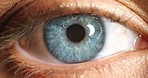 Blue eye, blink and iris in vision, eyesight and awareness for human sight and focus in optics. Closeup portrait of macro eyelid opening in healthy pupil care in motion, optometry and optical view