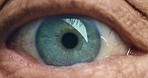 Eyes, vision and focus with the eye of a senior during a test or exam for prescription eyewear, glasses or contact lenses. Wrinkles, pupil and iris of an elderly person at the optometrist or optician