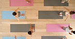 Meditation, yoga and top view of warrior pose, fitness and wellness exercise in gym or pilates studio. Diversity, training and health zen sports class with people and friends in relax room for peace