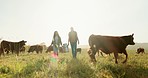 Farm, cow and milk with couple in countryside working together for agriculture, health and sustainability lifestyle. Sunrise, nature and dairy with farmer man and woman in field with animal cattle