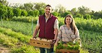 Vegetables box, agriculture and farmer couple portrait in countryside lifestyle, food market production and supply chain. Agro business owner people, seller or supplier with green product harvest