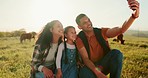 Family, selfie and phone on a farm with cows during summer sunset on agriculture farming industry. Man, woman and girl smile, photo and social media with love, freedom and care on countryside field