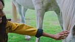 Woman, care and hand on horse with smile, happy and love for grooming, pet or outdoor on grass lawn. Girl, farm and therapy animal on field for touch, self care or happiness at countryside in Florida