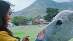 Farm, field and woman pet horse for bonding, animal care and love for countryside pets on ranch. Farming, relax and Indian woman hands touch stallion enjoy freedom, adventure and vacation in nature