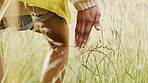 Hands, walking and woman in grass field outdoor for countryside freedom, calm nature enviroment and summer peace on farm. Wheat field, spring agricultre growth and person walk in grass to relax 